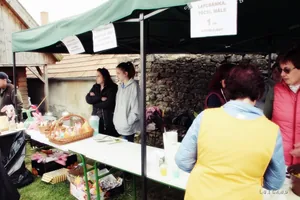 12. Medvehagymás napok. Fotók: Sárfi Lajos