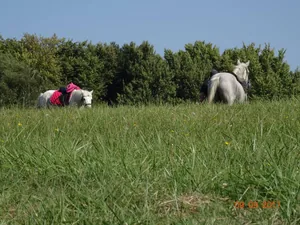 Fotó: Horváth Attila