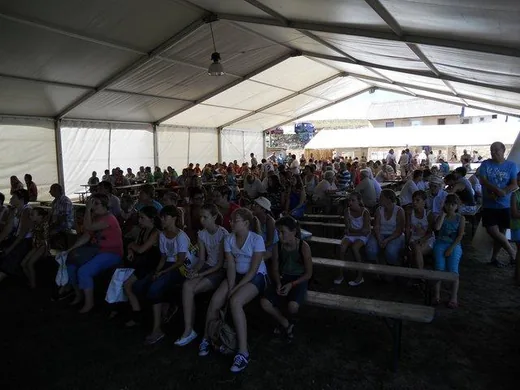 'Gombócfesztivál 2016' cikk borítóképe