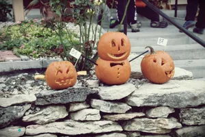 Tökfesztivál 2018. Fotók: Útirány.hu