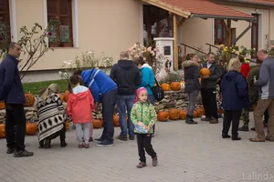 Fotók 2 album: Babai Lalinda