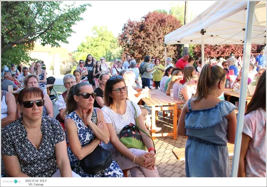 'VIII. Sólyi Falunap' cikk borítóképe