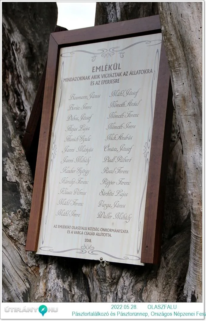 Helyszínen készült fotók