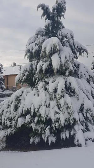 Fotó: Veinperlné Kovács Andrea