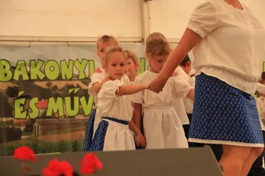 XIV. Bakonyi Krumpliszüreti és Művészeti Fesztivál 2016