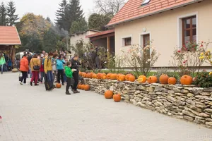 Fotók 1 album: Babai Lalinda