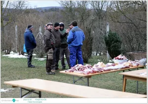 Fotók: Útirány.hu